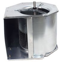 AS9075701.jpg